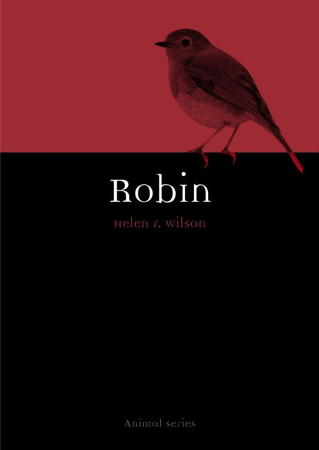 Robin