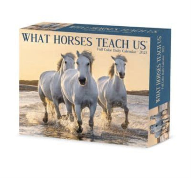 What Horses Teach Us 2023 Box Calendar