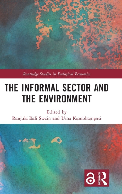 The Informal Sector and the Environment