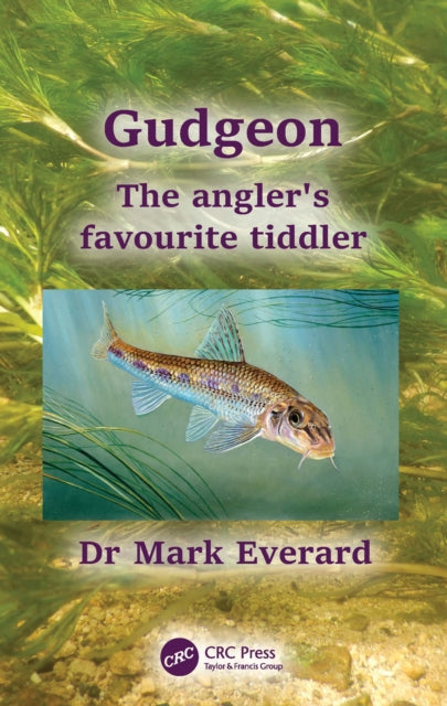 Gudgeon: The angler's favourite tiddler