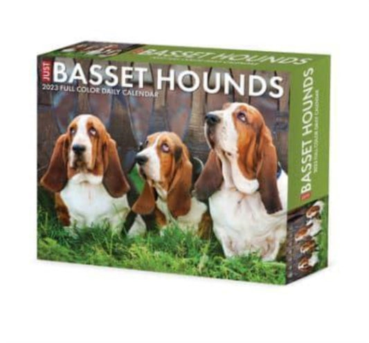 Basset Hounds 2023 Box Calendar