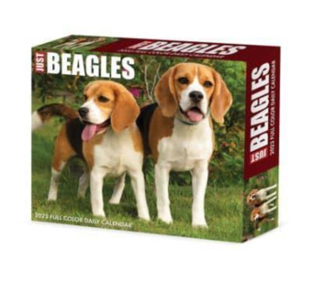 Beagles 2023 Box Calendar
