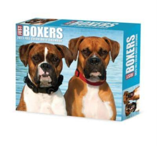 Boxers 2023 Box Calendar