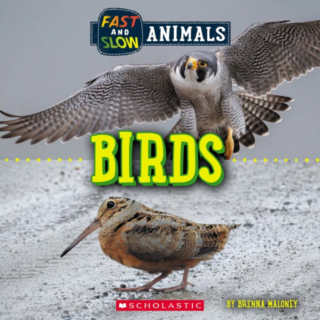 Fast and Slow: Birds (Wild World)