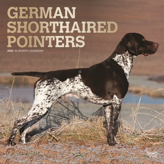 German Shorthaired Pointers 2023 Square Foil Calendar