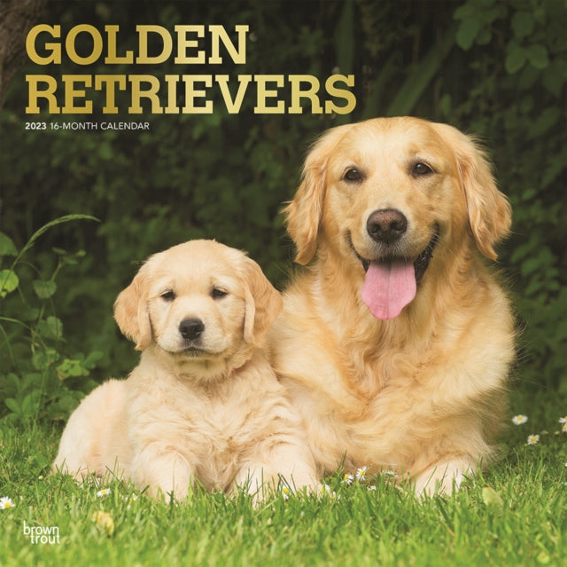 Golden Retrievers 2023 Square Foil Calendar