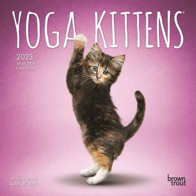 Yoga Kittens 2023 Mini 7x7 Calendar