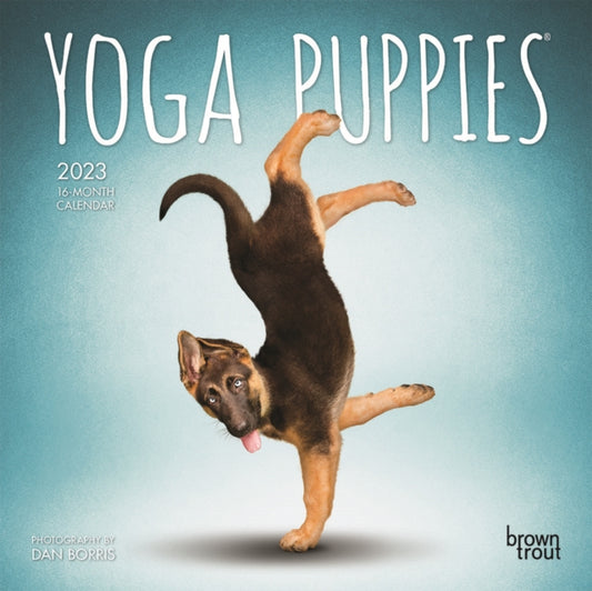 Yoga Puppies 2023 Mini 7x7 Calendar