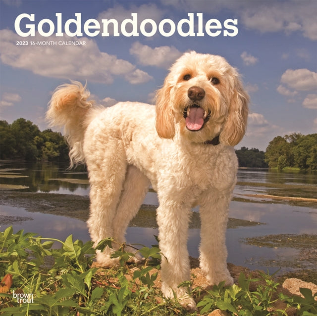 Goldendoodles 2023 Square Calendar