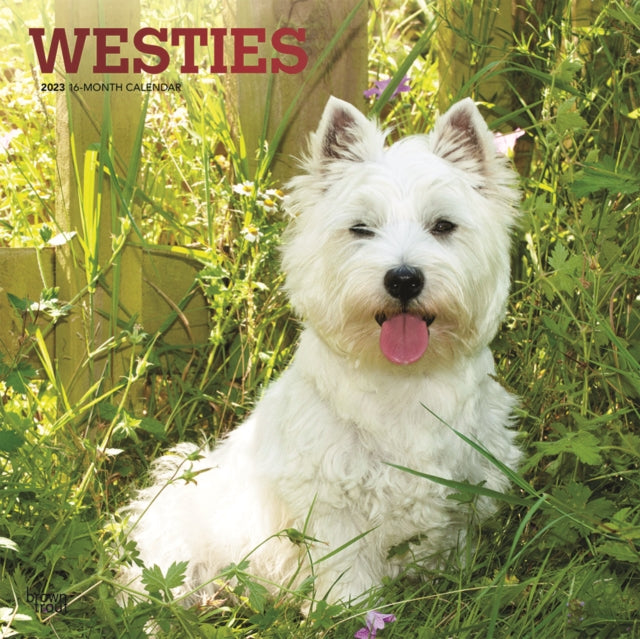 West Highland White Terriers 2023 Square Foil Calendar