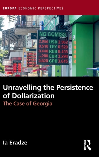 Unravelling The Persistence of Dollarization: The Case of Georgia