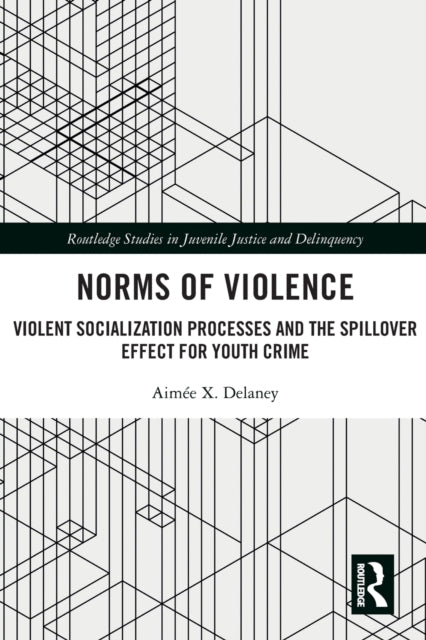 Norms of Violence: Violent Socialization Processes and the Spillover Effect for Youth Crime