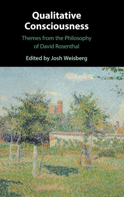 Qualitative Consciousness: Themes from the Philosophy of David Rosenthal