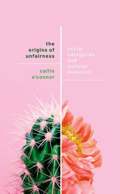 The Origins of Unfairness: Social Categories and Cultural Evolution
