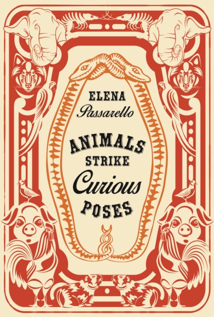 Animals Strike Curious Poses