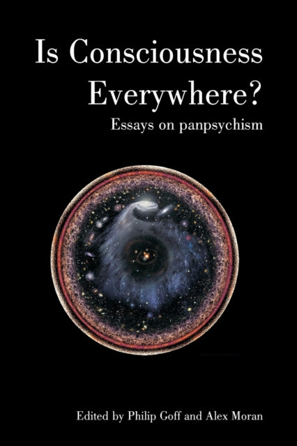 Is Consciousness Everywhere?: Essays on Panpsychism