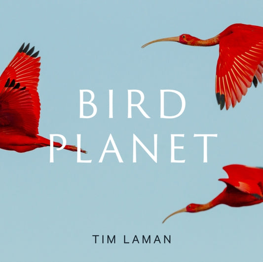 Bird Planet: A Photographic Journey