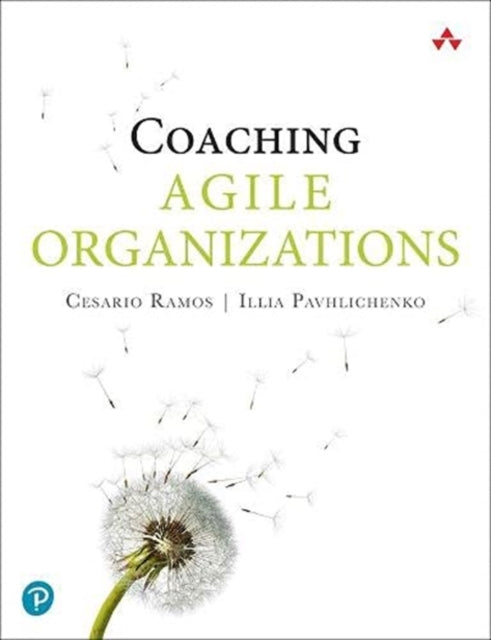 Creating Agile Organizations: A Systemic Approach