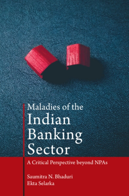 Maladies of the Indian Banking Sector: A Critical Perspective beyond NPAs