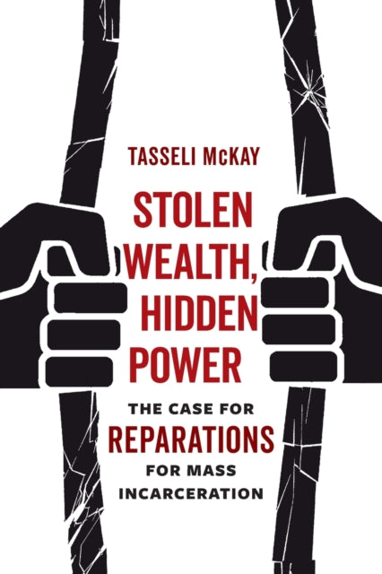 Stolen Wealth, Hidden Power: The Case for Reparations for Mass Incarceration