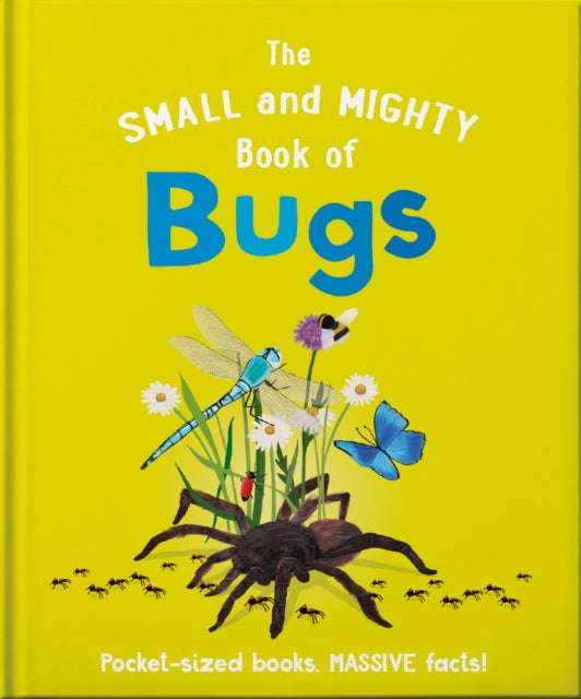 The Small and Mighty Book of Bugs: Pocket-sized books, massive facts!