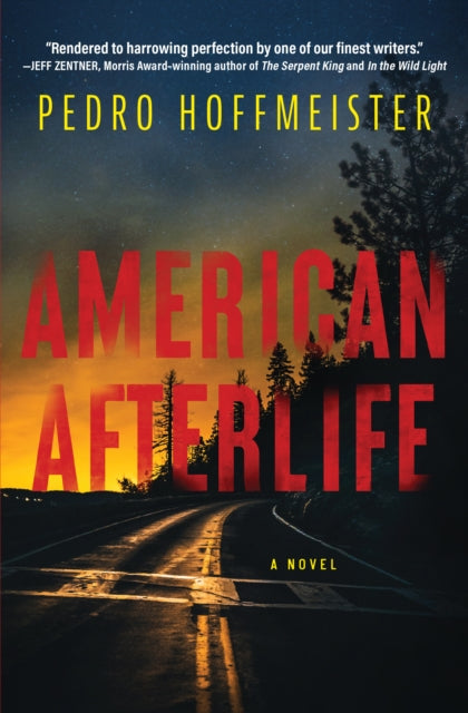 American Afterlife: A Novel