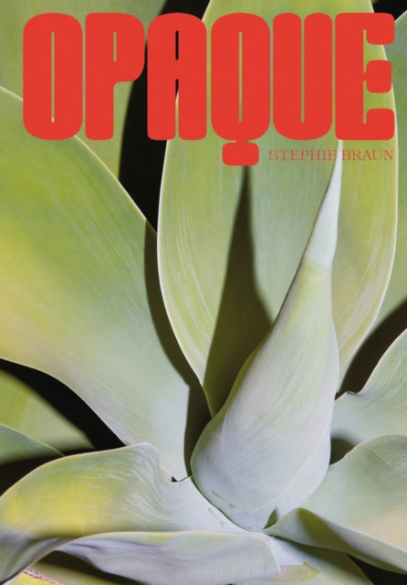 Stephie Braun: OPAQUE