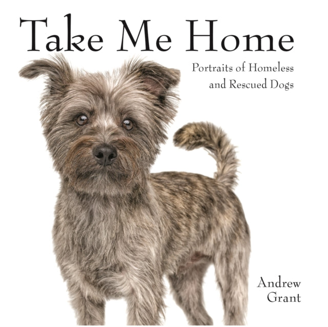 Take Me Home!: Rescue Dogs