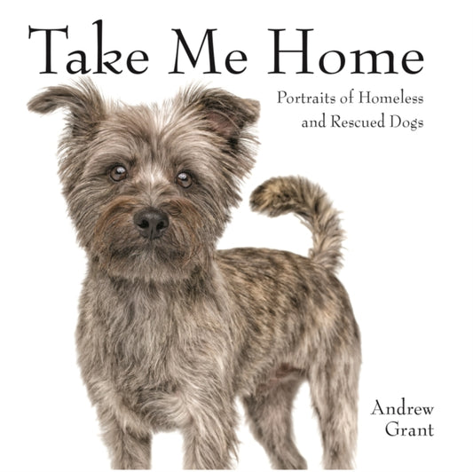 Take Me Home!: Rescue Dogs