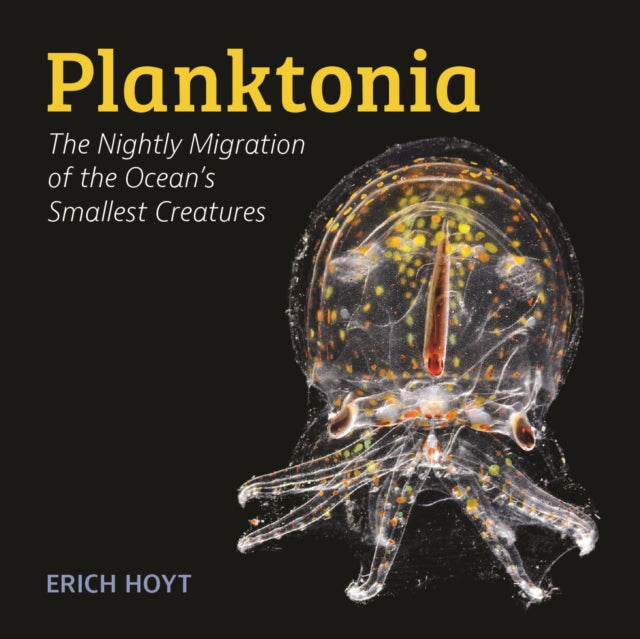 Planktonia: The Nightly Migration of the Ocean's Smallest Creatures