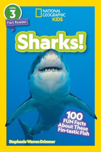 Sharks!