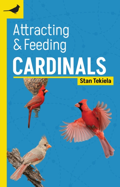 Attracting & Feeding Cardinals