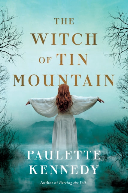 The Witch of Tin Mountain