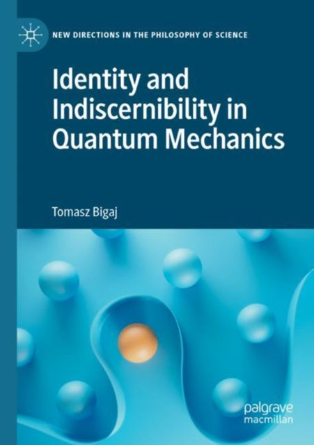 Identity and Indiscernibility in Quantum Mechanics