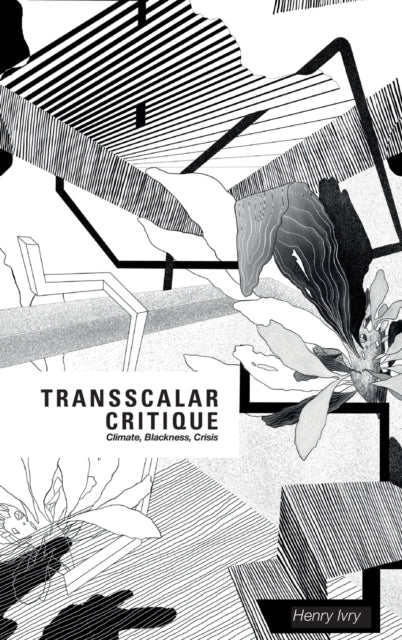 Transscalar Critique: Climate, Blackness, Crisis