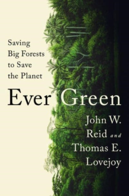 Ever Green: Saving Big Forests to Save the Planet