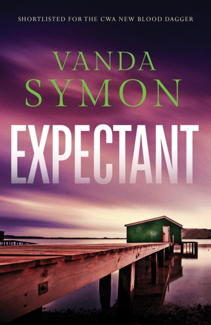 Expectant: The gripping, emotive new Sam Shephard thriller