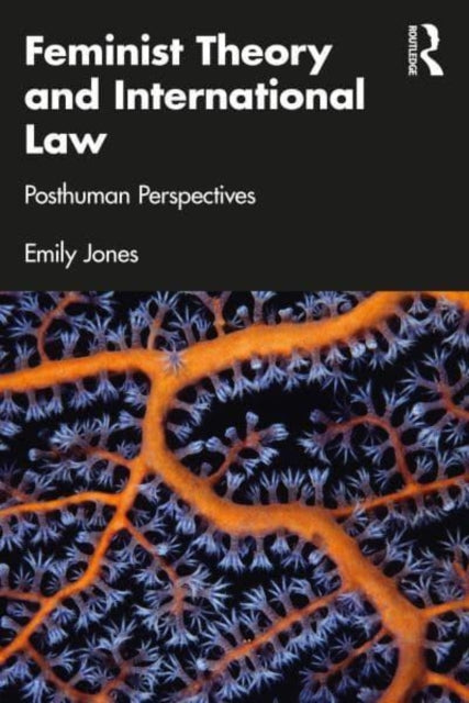 Feminist Theory and International Law: Posthuman Perspectives