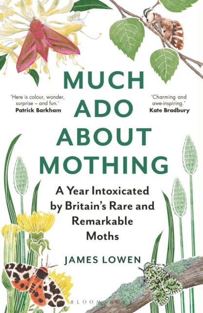 Much Ado About Mothing: A year intoxicated by Britain's rare and remarkable moths