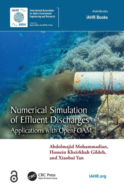 Numerical Simulation of Effluent Discharges: Applications with OpenFOAM