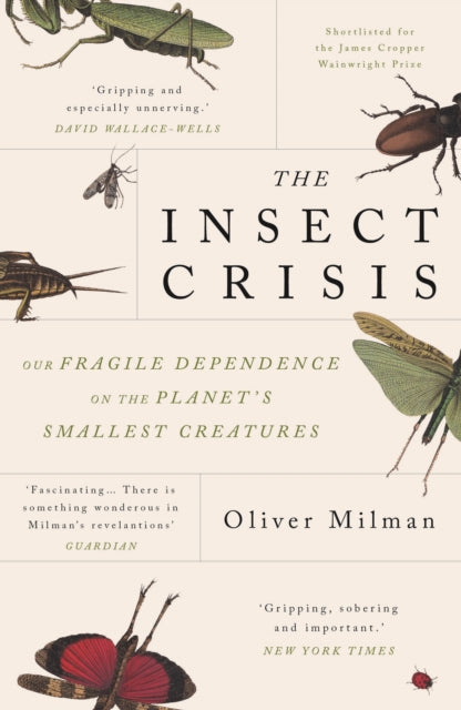 The Insect Crisis: Our Fragile Dependence on the Planet's Smallest Creatures