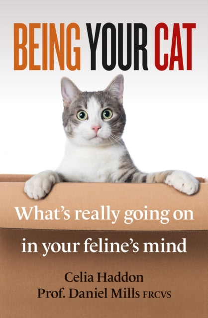 Being Your Cat: What's really going on in your feline's mind