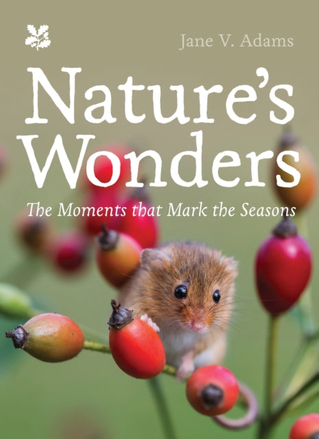 Nature's Wonders: Moments That Mark the Seasons