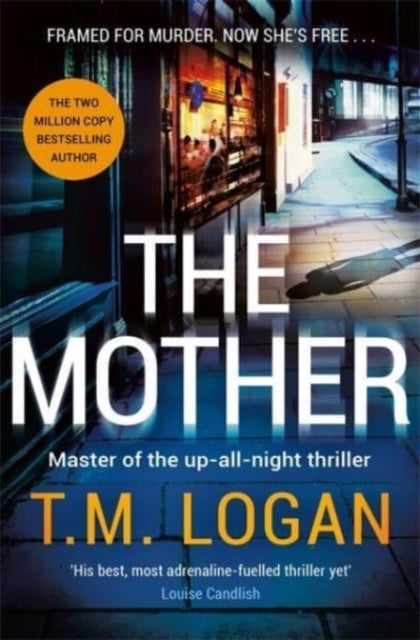 The Mother: The brand new up-all-night thriller from the author of TV drama THE CATCH