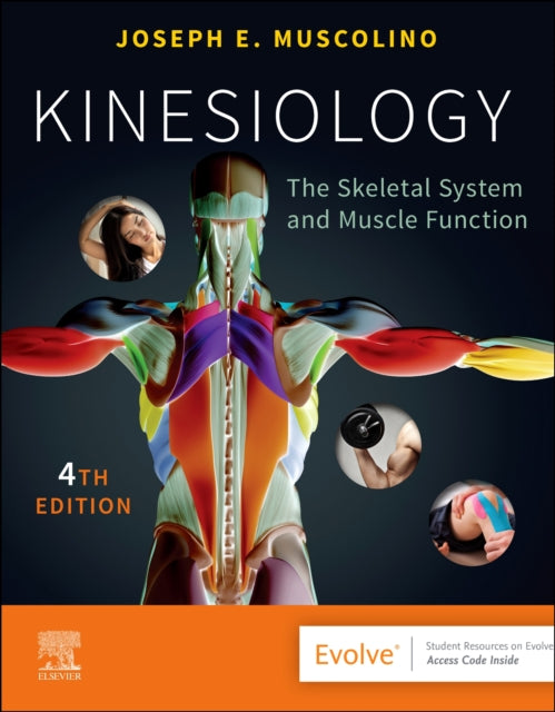 Kinesiology: The Skeletal System and Muscle Function