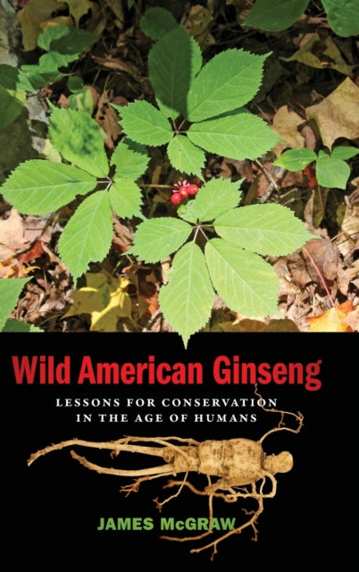 Wild American Ginseng: Lessons for Conservation in the Age of Humans