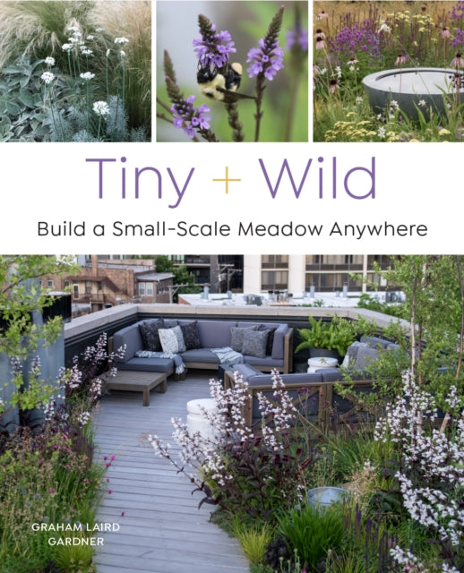 Tiny and Wild: Build a small-scale meadow anywhere