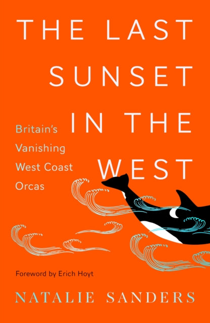 The Last Sunset in the West: Britain's Vanishing West Coast Orcas