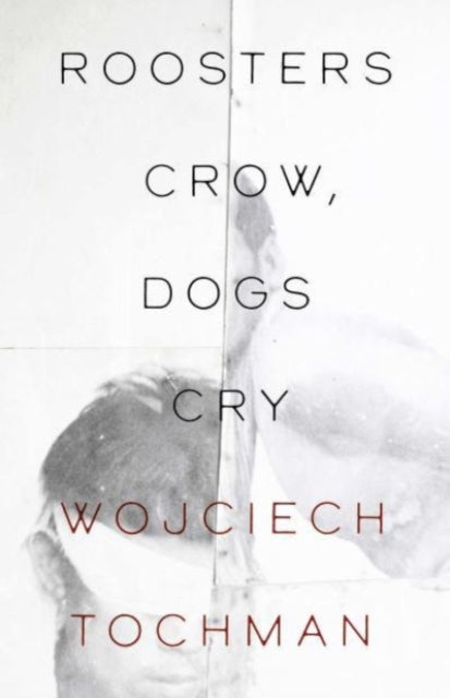 Roosters Crow, Dogs Whine