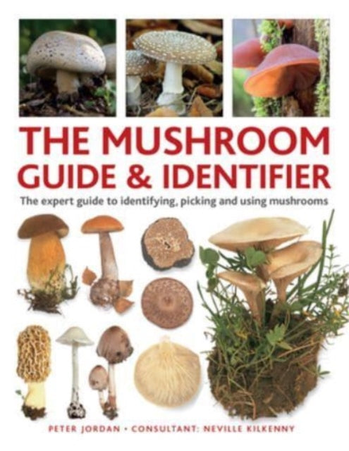 The Mushroom Picker's Field Guide: An expert A-Z to identifying, picking and using wild mushrooms